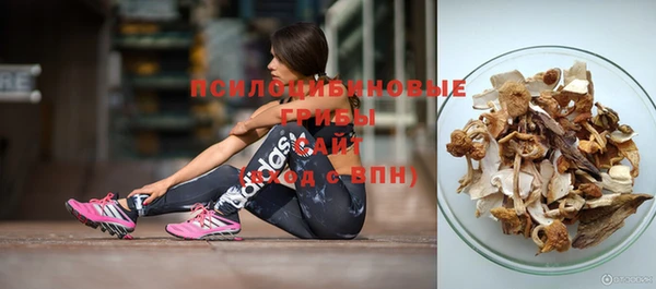 дживик Балахна