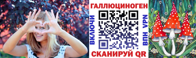 Галлюциногенные грибы Psilocybine cubensis  Биробиджан 