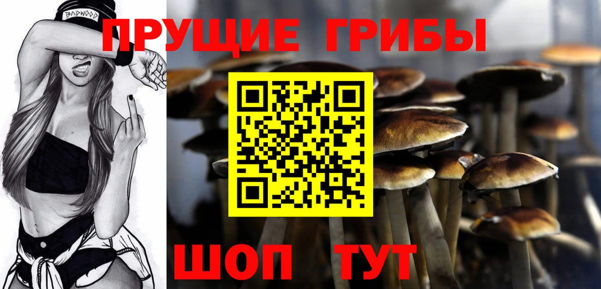 Псилоцибиновые грибы Psilocybine cubensis  Вход с VPN  Псилоцибиновые грибы GOLDEN TEACHER  Биробиджан 