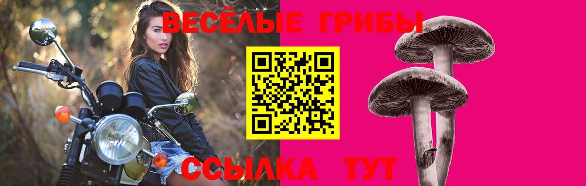 Псилоцибиновые грибы MAGIC MUSHROOMS Биробиджан